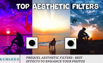 Prequel Aesthetic Filters - Best Effects to Enhance Your Photos