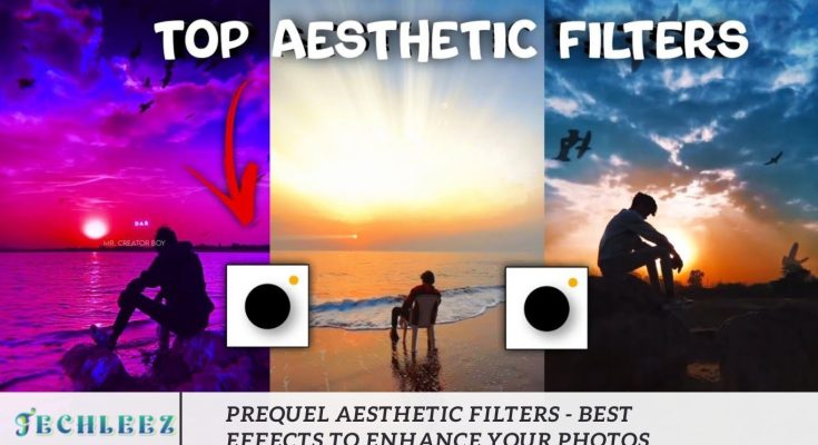 Prequel Aesthetic Filters - Best Effects to Enhance Your Photos