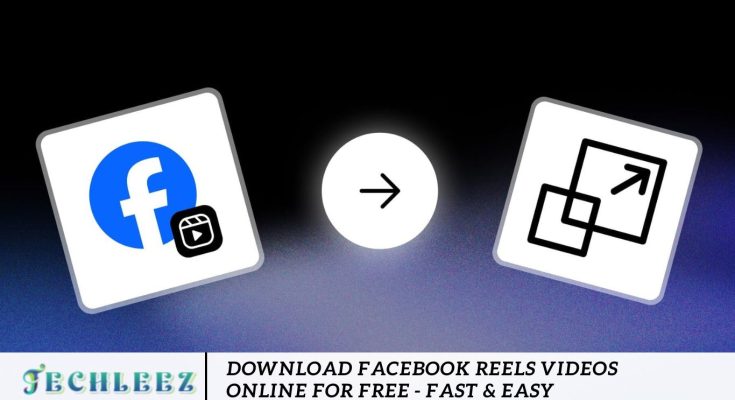 Download Facebook Reels Videos Online for Free - Fast & Easy