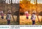 How to Achieve a DSLR Blur Effect in Any Photo