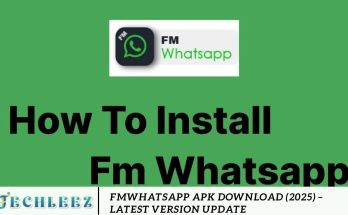 FMWhatsApp APK Download (2025) – Latest Version Update