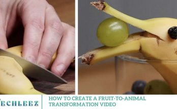 How to Create a Fruit-to-Animal Transformation Video