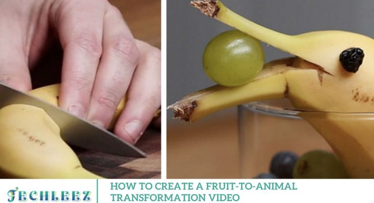 How to Create a Fruit-to-Animal Transformation Video