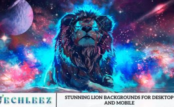 Stunning Lion Backgrounds for Desktop and Mobile
