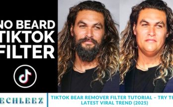 TikTok Bear Remover Filter Tutorial – Try the Latest Viral Trend (2025)