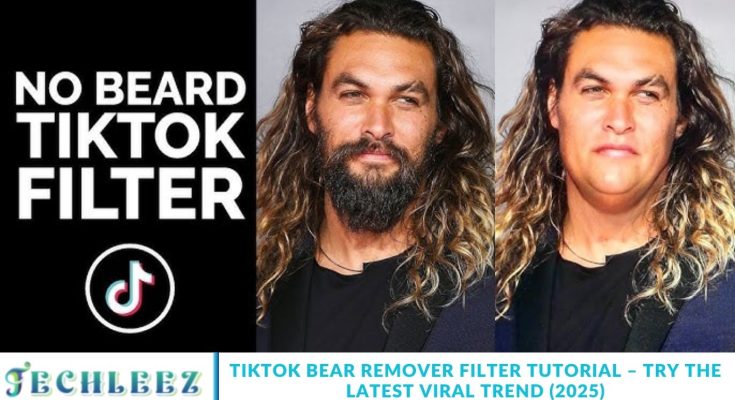 TikTok Bear Remover Filter Tutorial – Try the Latest Viral Trend (2025)