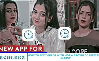 How to Edit Videos with HDR & Brown CC Effects in InShot