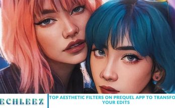Top Aesthetic Filters on Prequel App to Transform Your Edits